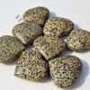 Dalmation Jasper Hearts