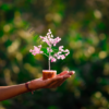 Rose Quartz Crystals Tree For Home Decor