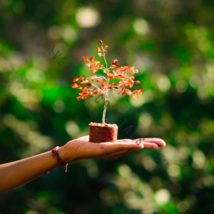 Red Carnelian Small Gemstone Tree
