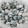 Wholesale Tree Agate Gemstone Tumble Stones
