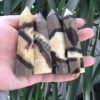 Septarian Gemstone Obelisk Points
