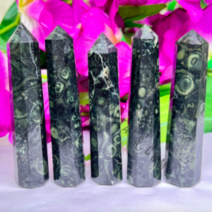 Kambaba Jasper Crystal Obelisk Point