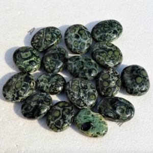 Kambaba Jasper Crystal Palm Stones