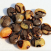 Septarian Crystal Palm Stones