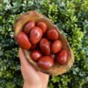 Red Jasper Crystal Large Tumble Stones