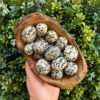 Dalmatian Jasper Crystal Large Tumble Stones