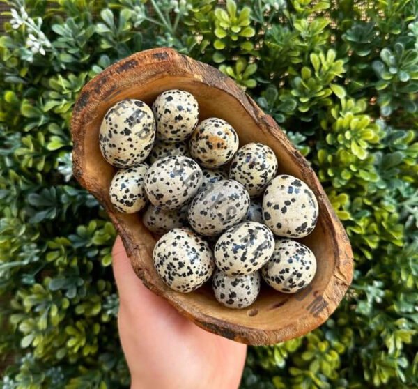 Dalmatian Jasper Crystal Large Tumble Stones
