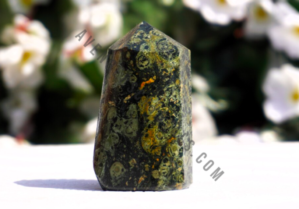 Kambaba Jasper Standing Free Form Point